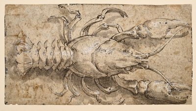 kerevit (rekto) by Parmigianino