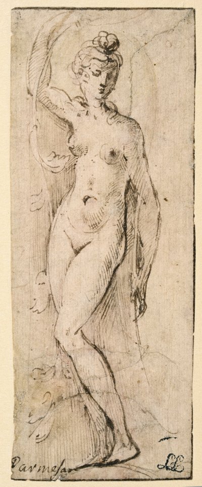 Kadın figürü - Santa Maria della Steccata için çalışma, Parma (rekto) by Parmigianino