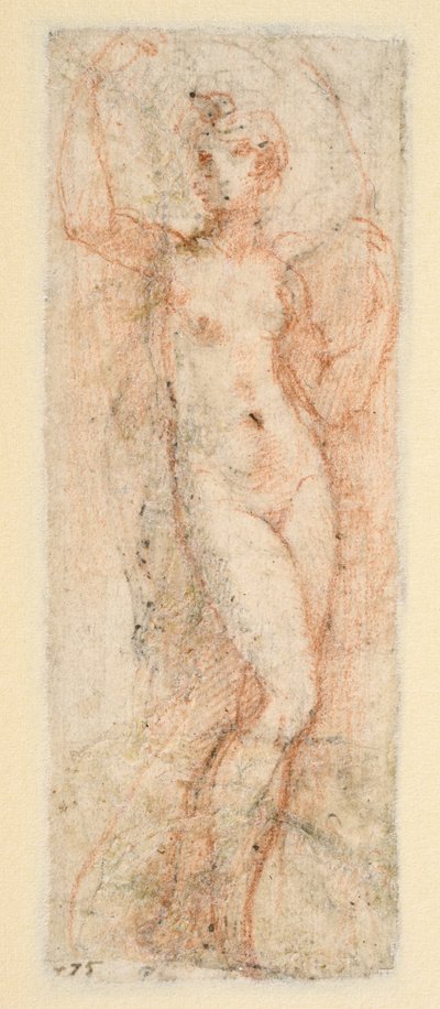 Kadın figürü - Steccata için çalışma (verso) by Parmigianino