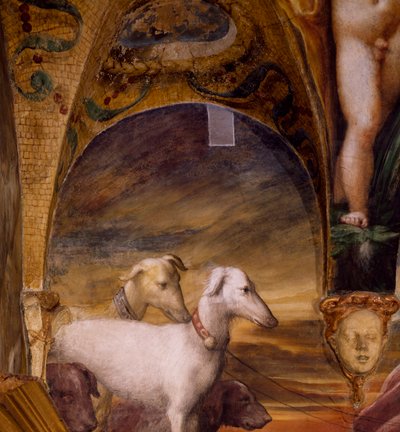 Diana Efsanesi ve Actaeon