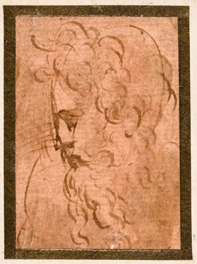 erkek kafa by Parmigianino