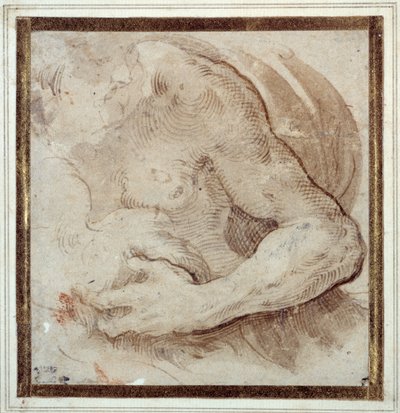 Sakallı bir adamın sol kolu, göğsü ve başının incelenmesi (kağıt üzerine kırmızı tebeşirle kalem ve kahverengi mürekkep) by Parmigianino