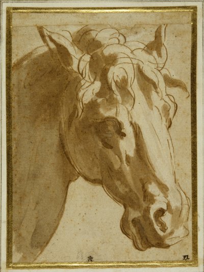 Bir atın başı ve boynu (krem kağıda yıkamalı kalem ve kahverengi mürekkep) by Parmigianino