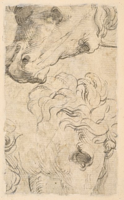 At başlarının iki çalışması (parça) (verso) by Parmigianino