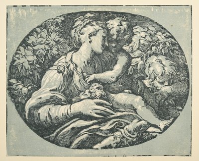 Bebek Aziz John ile Bakire ve Çocuk (kağıt üzerinde mürekkep (siyah ve mavi-yeşil)) by Parmigianino