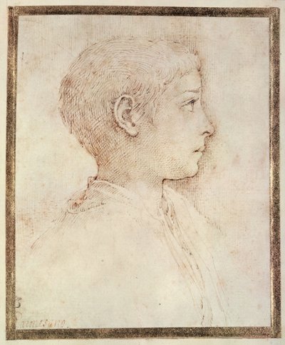 Bir çocuğun başı by Parmigianino