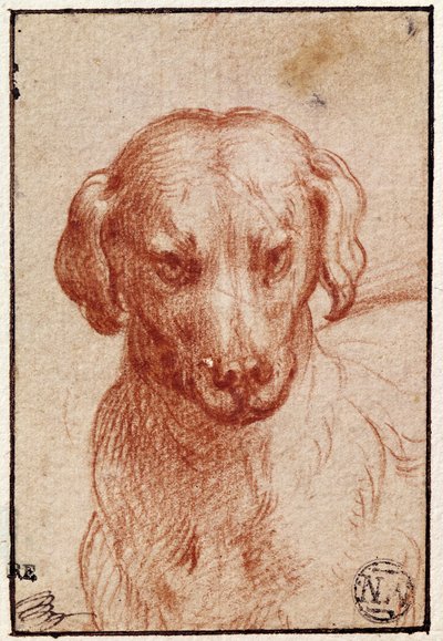 Köpek Başı (kağıt üzerinde kırmızı tebeşir) by Parmigianino