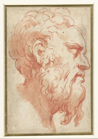 Sağdaki profilde yaşlı bir adamın başı by Parmigianino