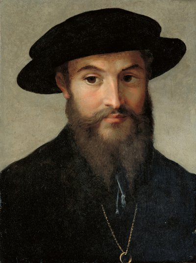 Sakallı bir adamın portresi by Parmigianino