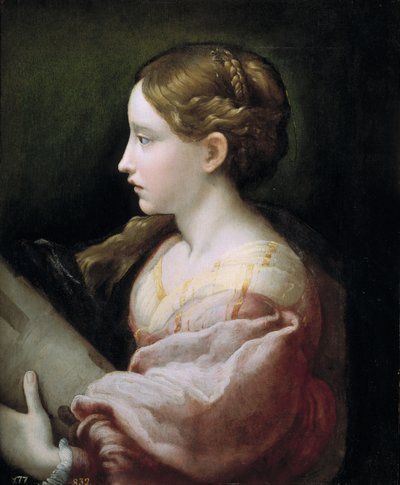Aziz Barbara by Parmigianino
