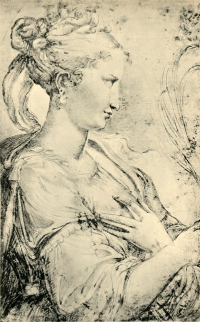 Aziz Catherine Çalışması, c1530-1540, 1943. by Parmigianino
