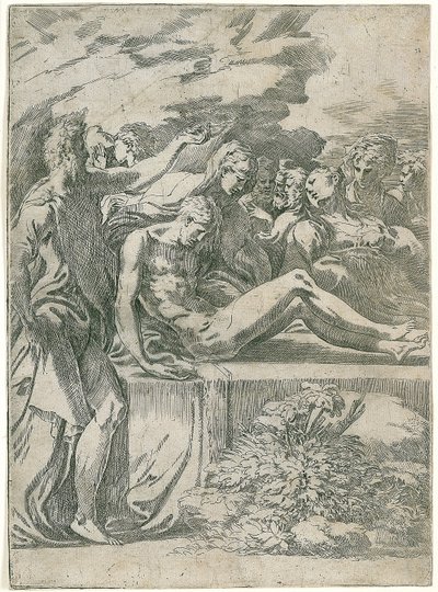  by Parmigianino