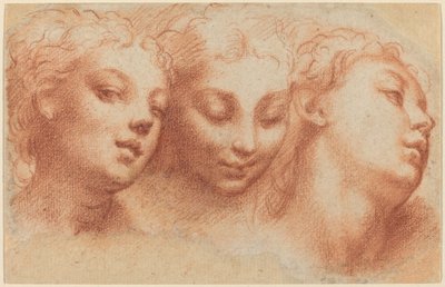 Üç Kadınsı Kafa by Parmigianino