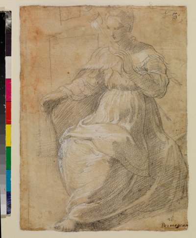 Bir distaff tutan kadın by Parmigianino