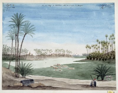 Mısır: Memphis yakınlarındaki Metriham köyünün görünümü. 1819 Pascal Coste