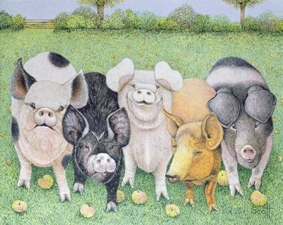  by Pat Scott