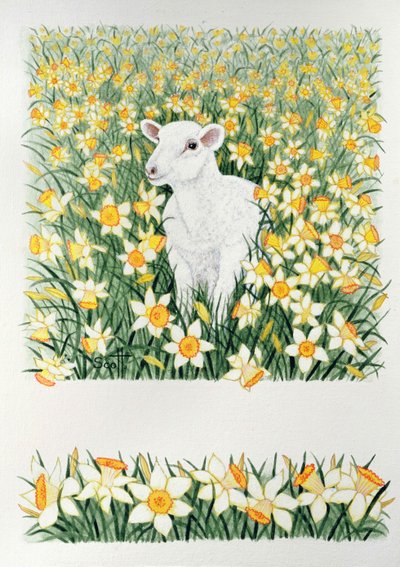 by Pat Scott