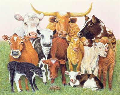 Şaşırtıcı Bir Yabancı by Pat Scott
