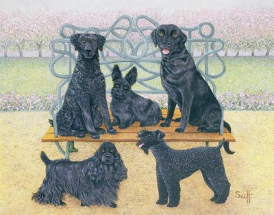  by Pat Scott