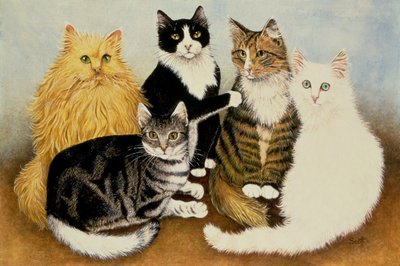  by Pat Scott