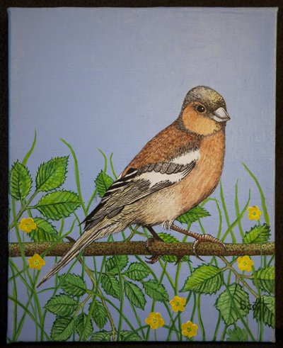  by Pat Scott