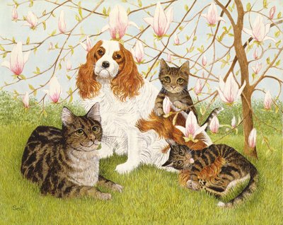  by Pat Scott