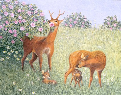  by Pat Scott