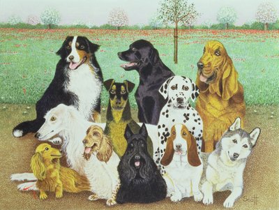  by Pat Scott