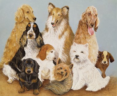  by Pat Scott