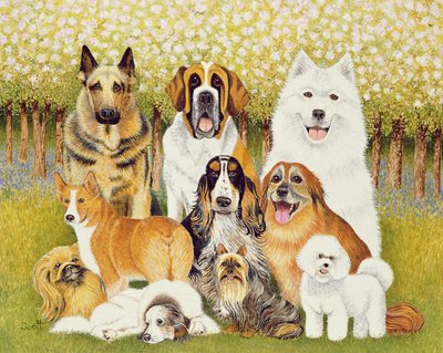 Mayıs Ayında Köpekler by Pat Scott