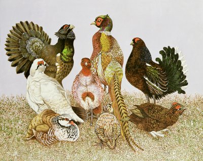  by Pat Scott