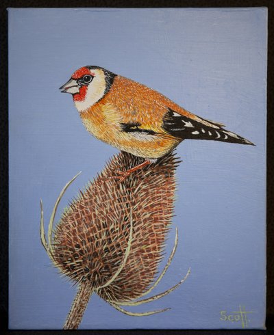  by Pat Scott