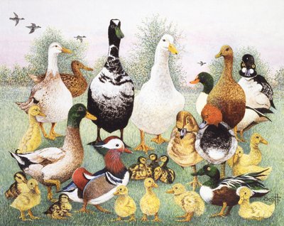  by Pat Scott