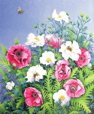  by Pat Scott