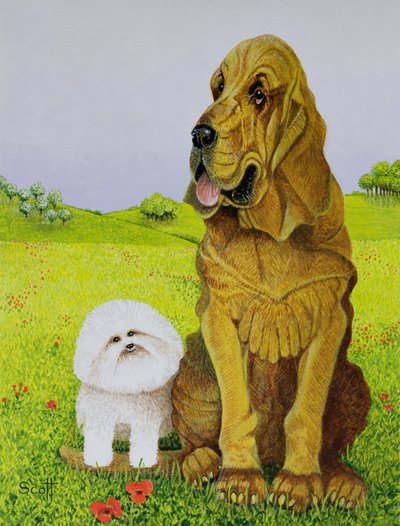  by Pat Scott