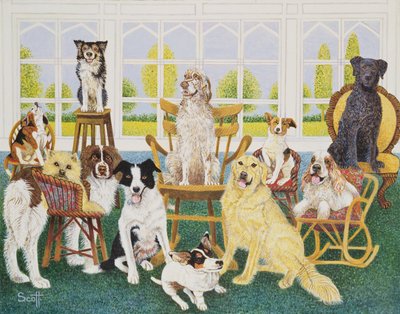 Köpek Evinde by Pat Scott