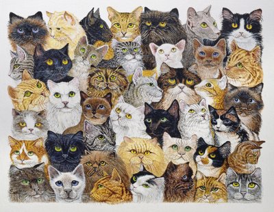  by Pat Scott