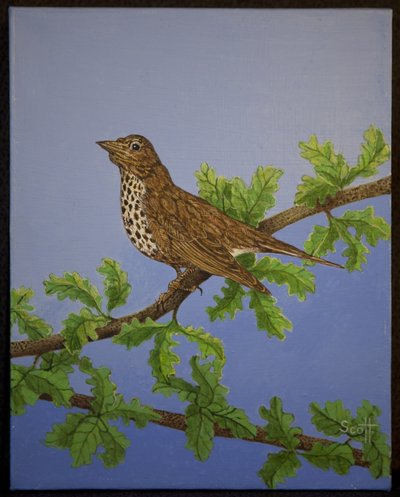  by Pat Scott
