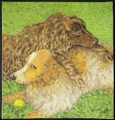  by Pat Scott