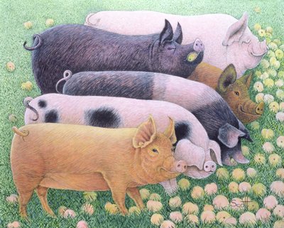  by Pat Scott