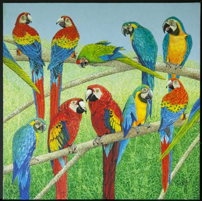  by Pat Scott