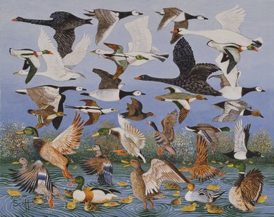 Kalkış by Pat Scott
