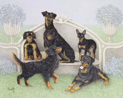  by Pat Scott