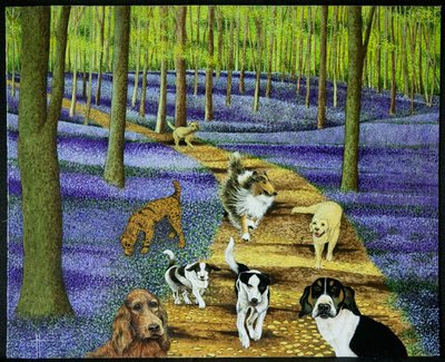  by Pat Scott
