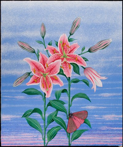  by Pat Scott