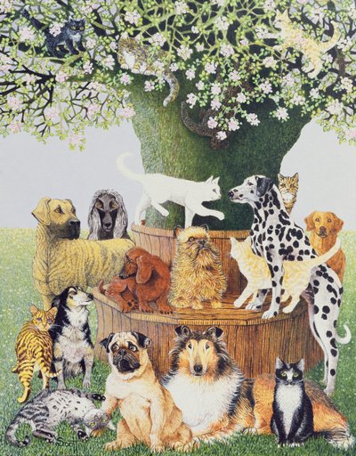  by Pat Scott