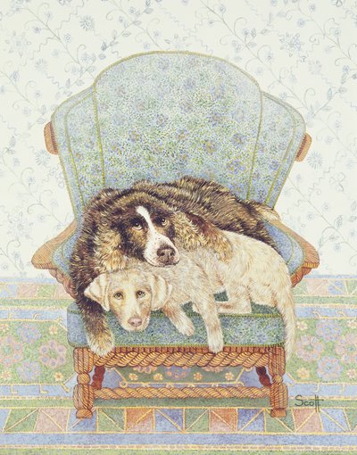  by Pat Scott