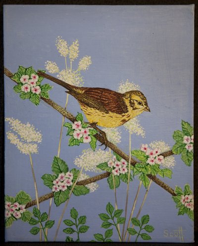  by Pat Scott