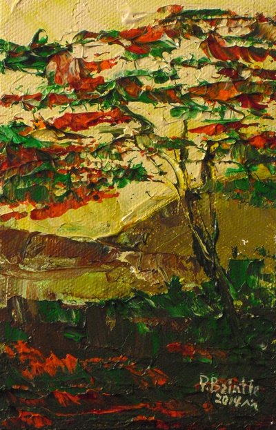 Flamboyant en fleur, 2014 (tuval üzerine akrilik) by Patricia Brintle