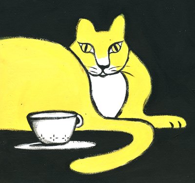 Kedi by Patrizia La Porta